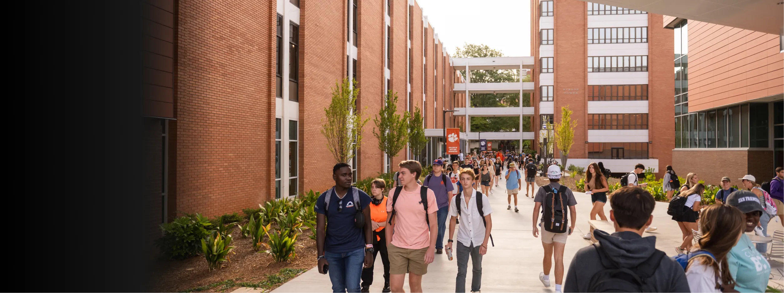 Numerous students of various genders and ethnicitieswalk along the walkway in front of Daniel Hal flanked with Clemson Banners. 