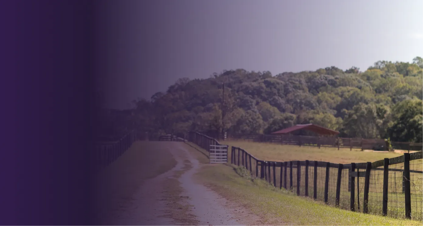 This image is a part of a group of images stacked on top of eachother. This is the background image. A field of grass leading to a tree line with several wooden fences running the length of the grassy field.