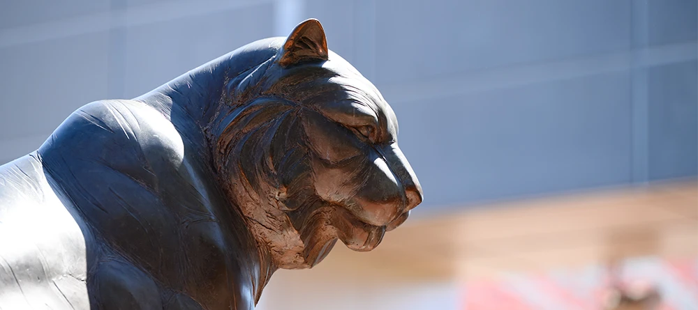 A side view of the face of a tiger statue.
