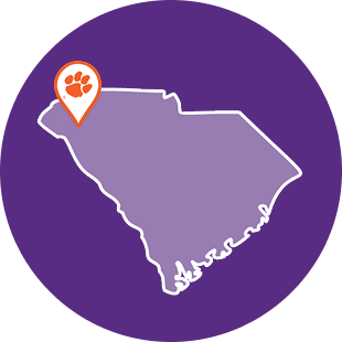 A small icon of south carolina...